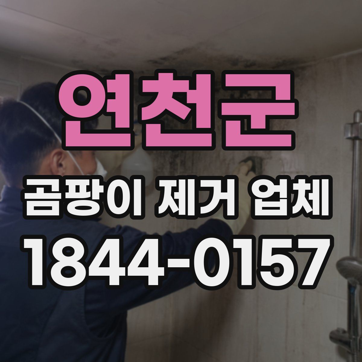 연천군 곰팡이 제거 업체