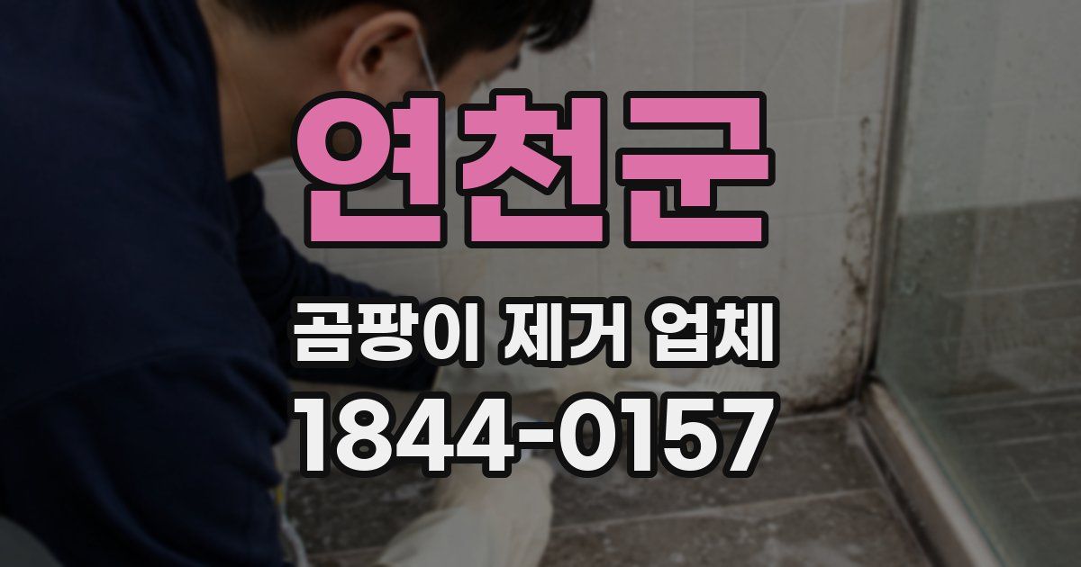 연천군 곰팡이 제거 업체