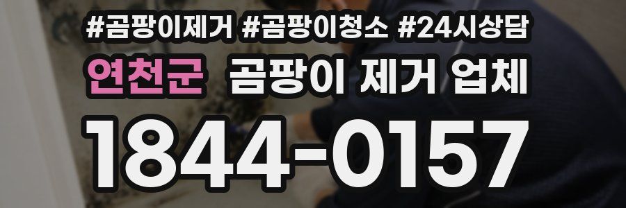 연천군 곰팡이 제거 업체