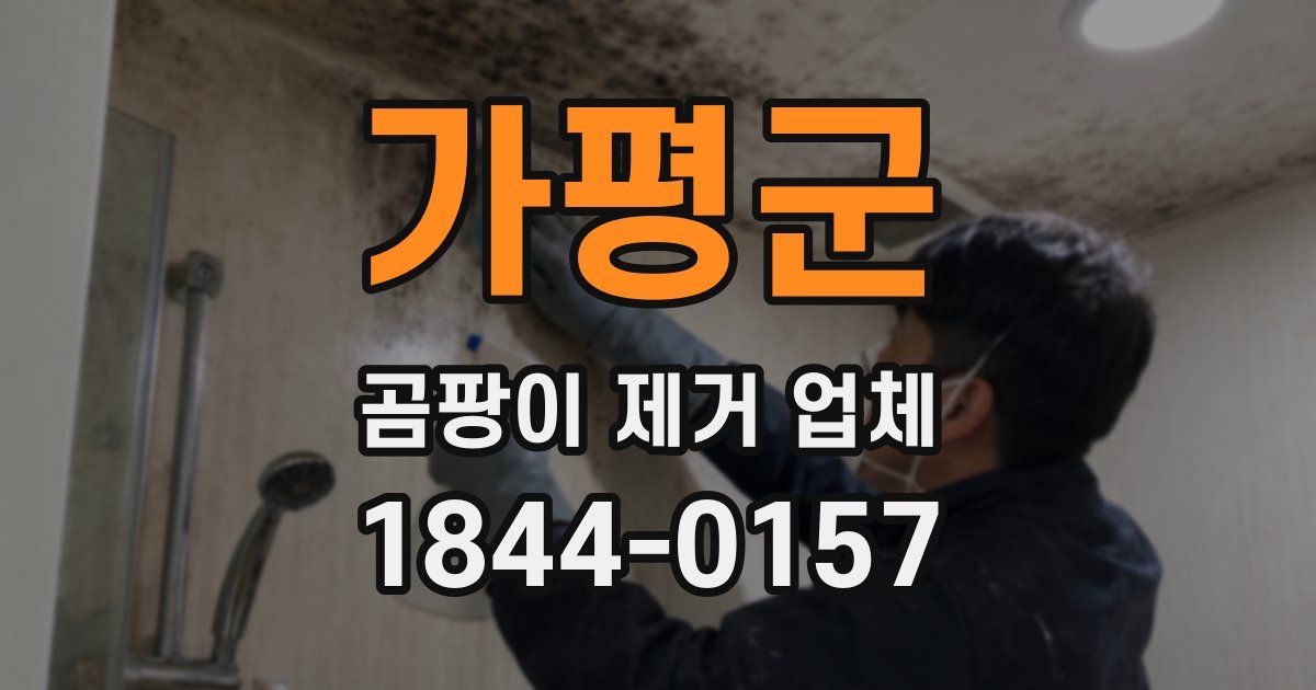 가평군 곰팡이 제거 업체