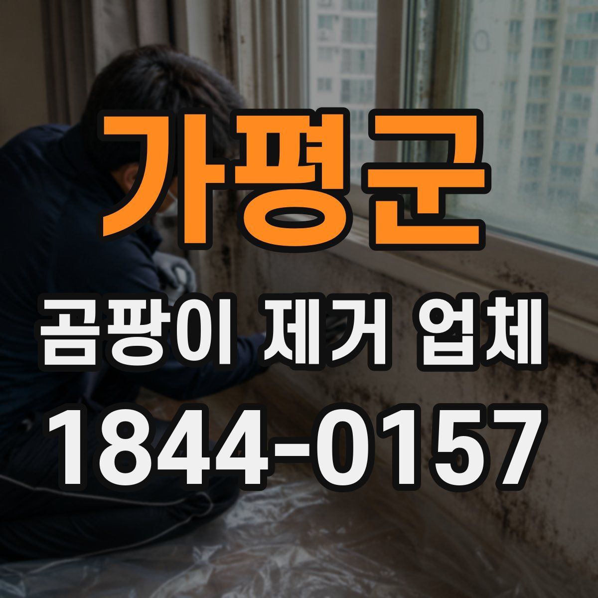 가평군 곰팡이 제거 업체