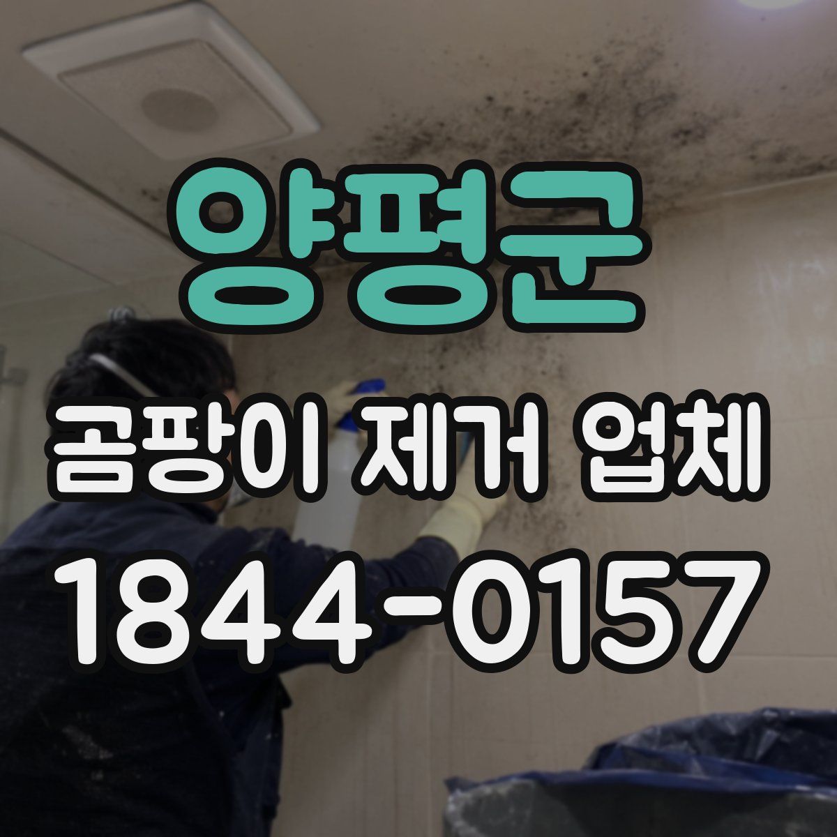 양평군 곰팡이 제거 업체