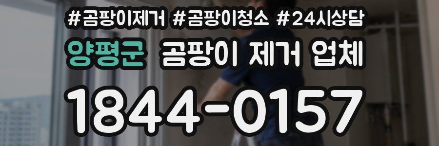 양평군 곰팡이 제거 업체