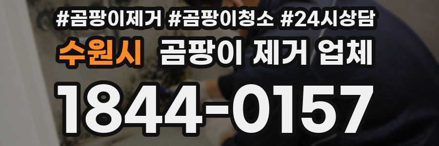 수원시 곰팡이 제거 업체