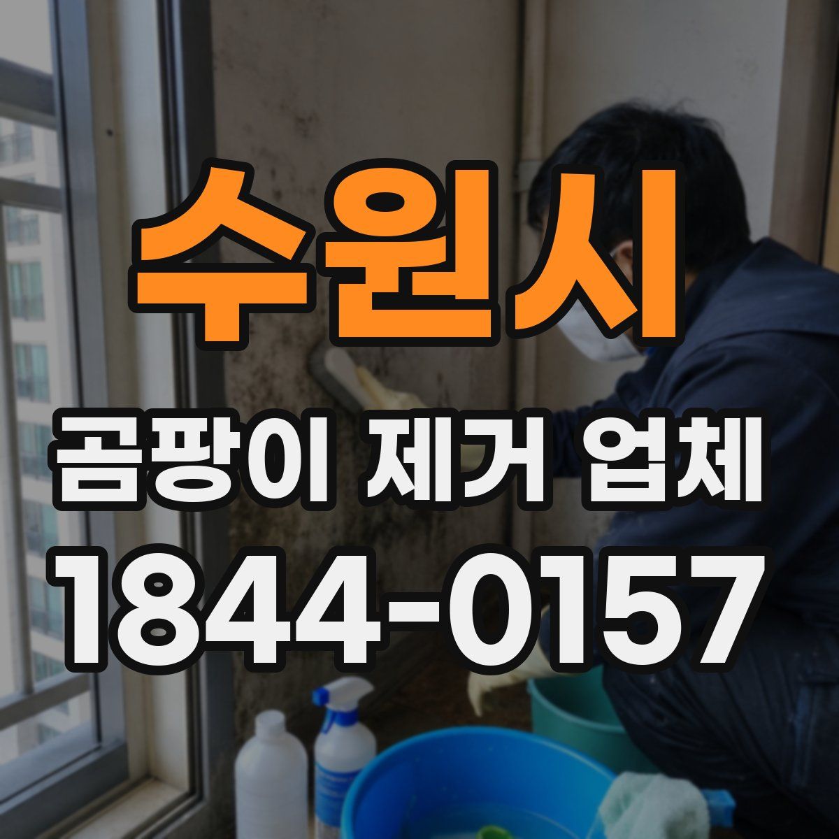 수원시 곰팡이 제거 업체