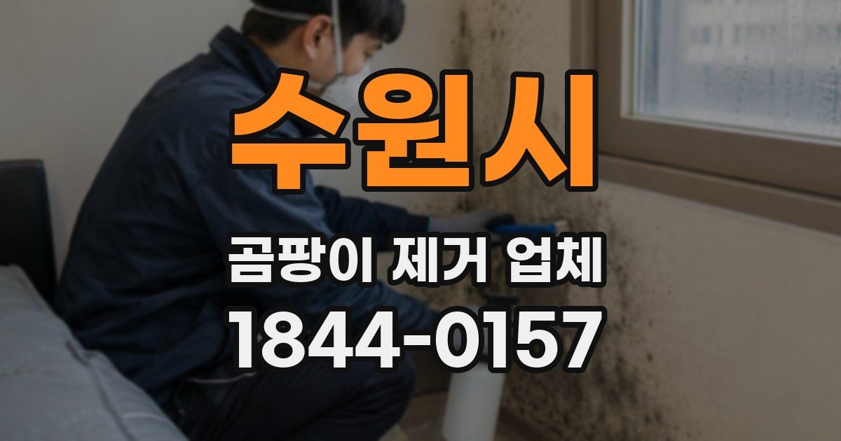 수원시 곰팡이 제거 업체