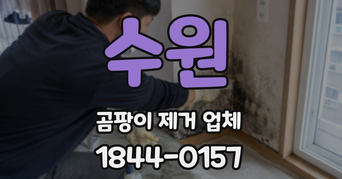 수원 곰팡이 제거 업체