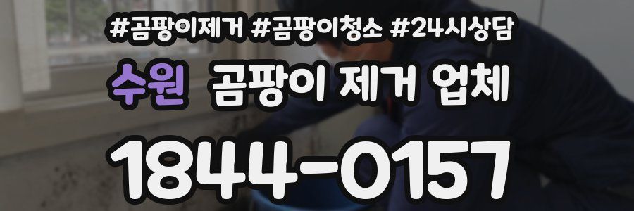 수원 곰팡이 제거 업체