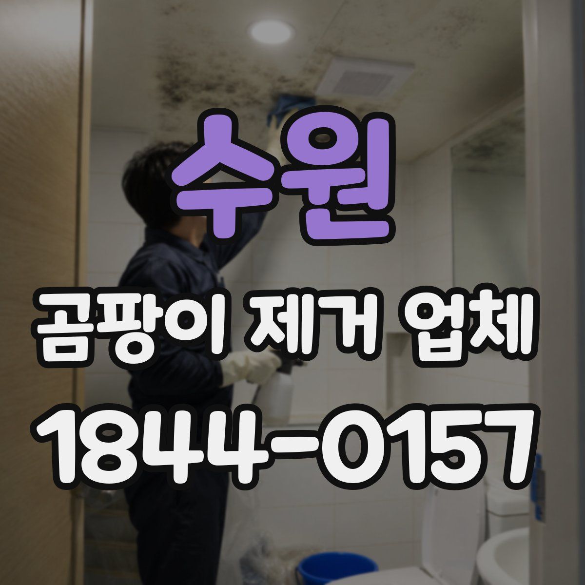 수원 곰팡이 제거 업체