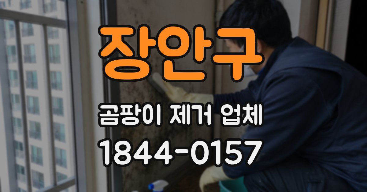 장안구 곰팡이 제거 업체