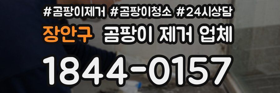 장안구 곰팡이 제거 업체