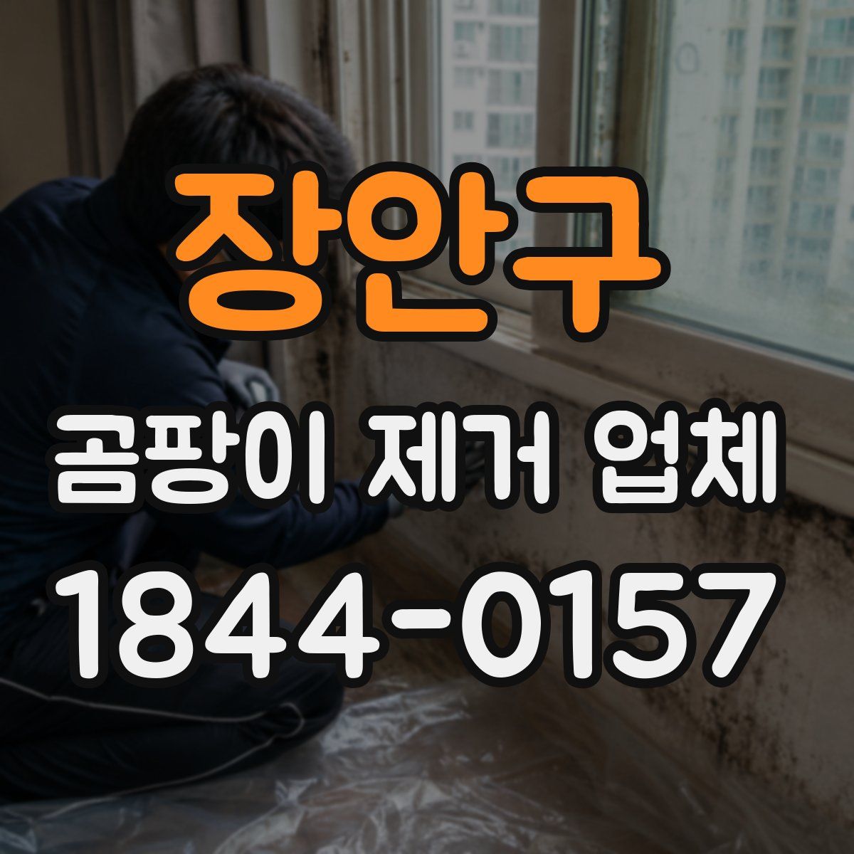 장안구 곰팡이 제거 업체