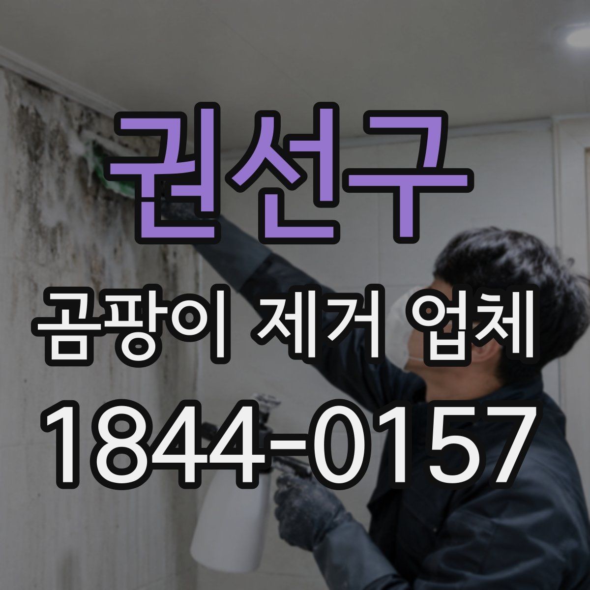 권선구 곰팡이 제거 업체 습기 많은 공간에서 먼저 보는 점검 순서