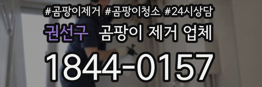 권선구 곰팡이 제거 업체