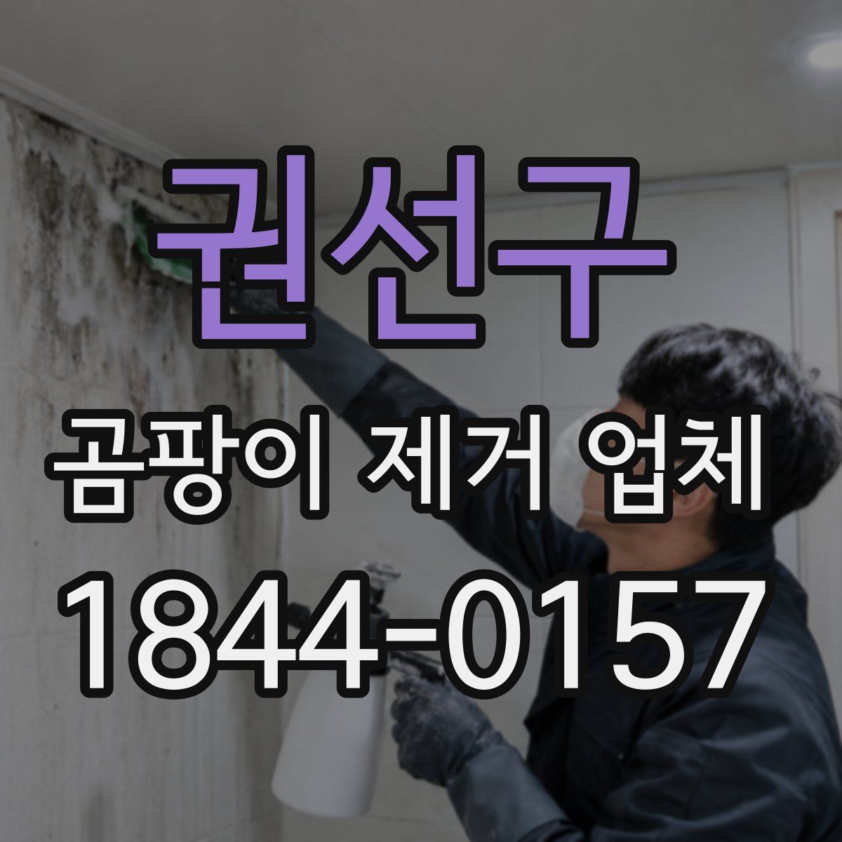 권선구 곰팡이 제거 업체