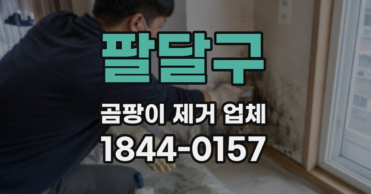 팔달구 곰팡이 제거 업체