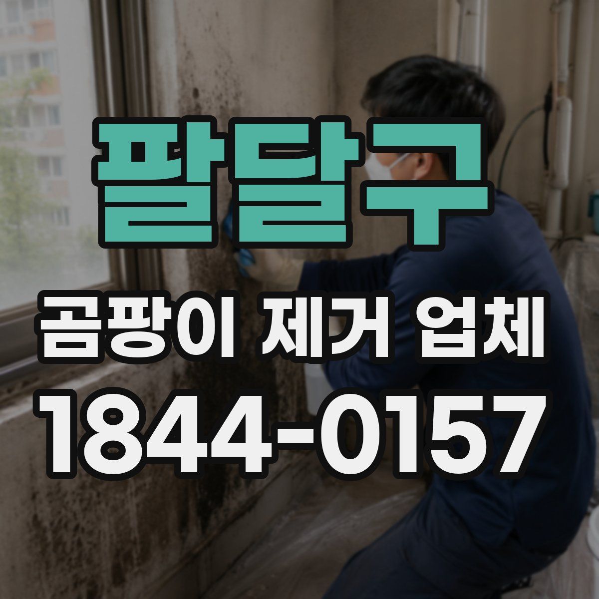 팔달구 곰팡이 제거 업체