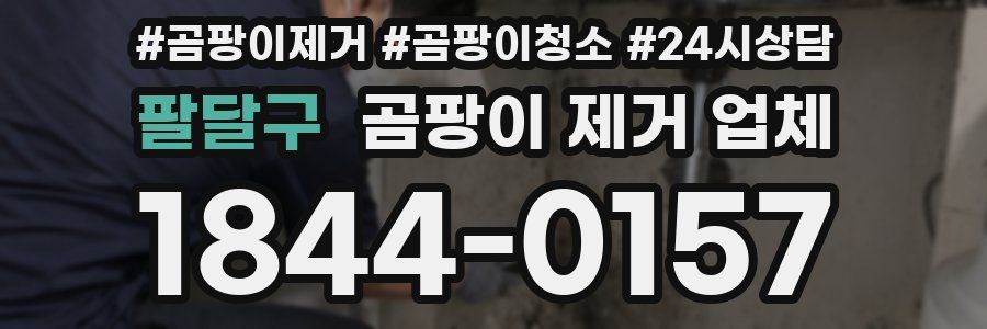 팔달구 곰팡이 제거 업체