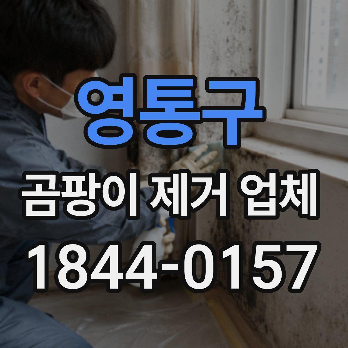 영통구 곰팡이 제거 업체