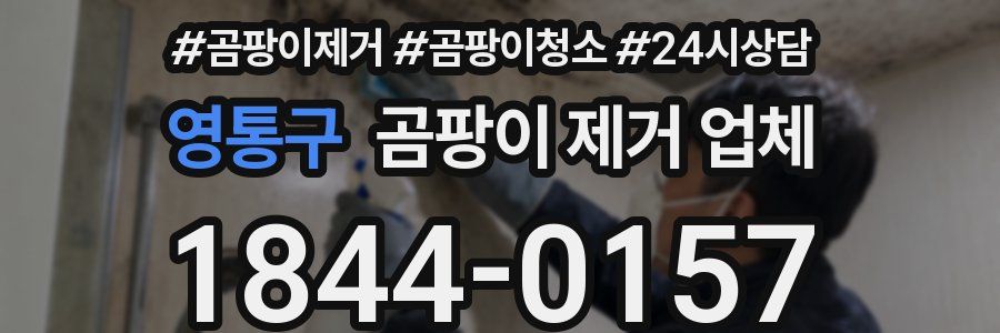 영통구 곰팡이 제거 업체