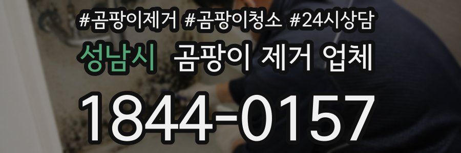 성남시 곰팡이 제거 업체