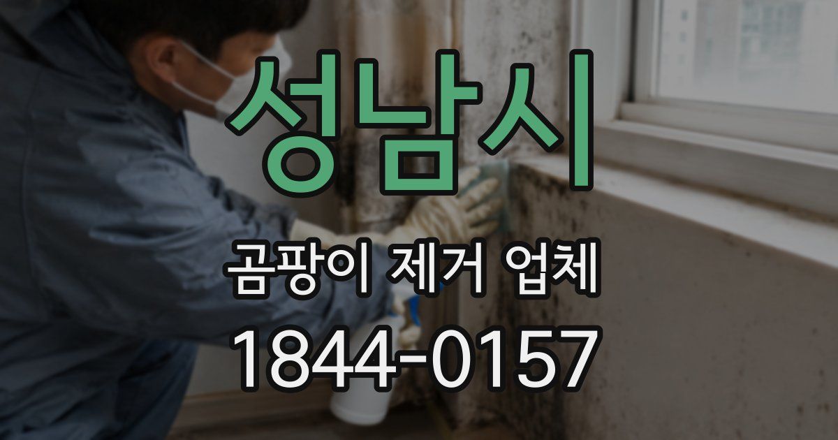 성남시 곰팡이 제거 업체