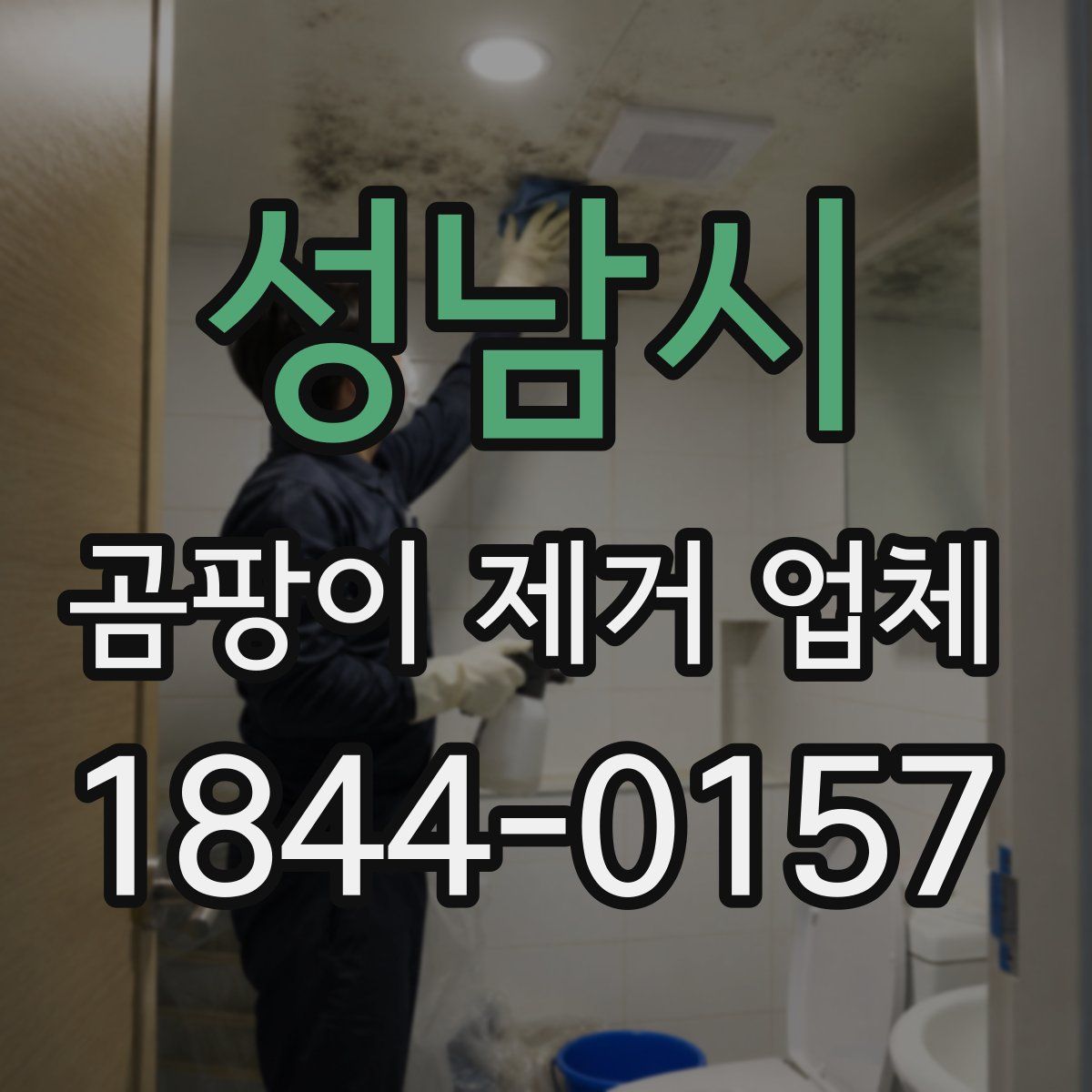 성남시 곰팡이 제거 업체