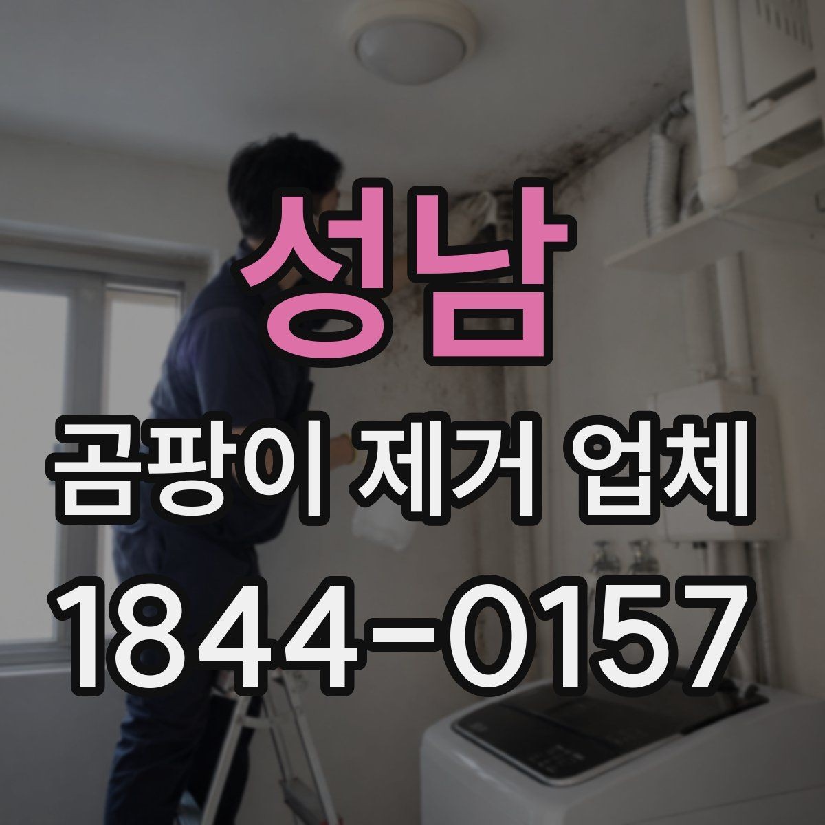 성남 곰팡이 제거 업체 벽면과 천장 오염이 넓을 때 확인할 점
