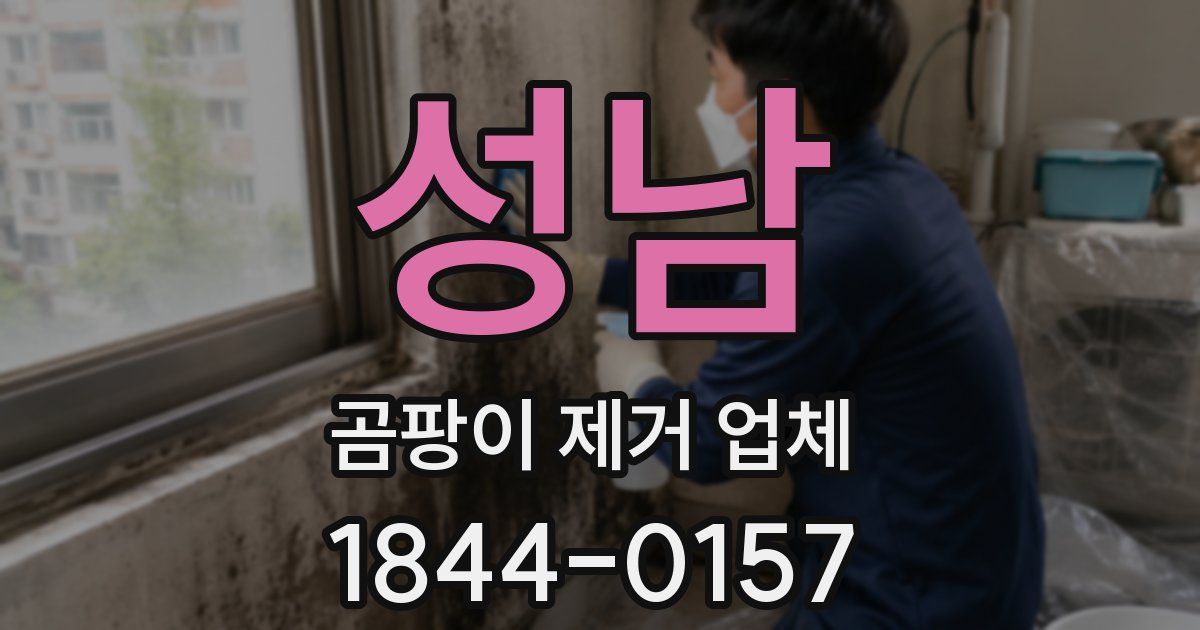 성남 곰팡이 제거 업체