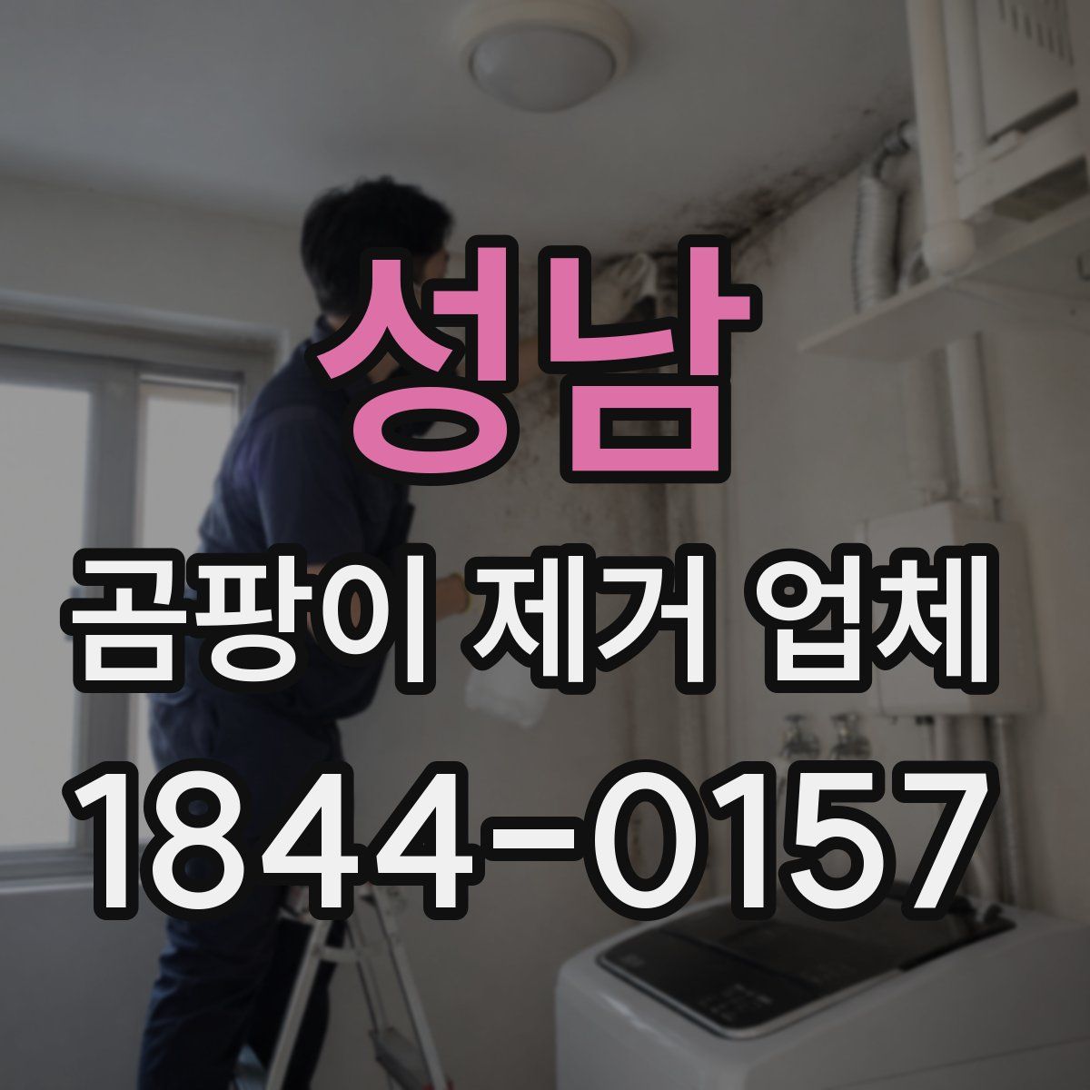 성남 곰팡이 제거 업체