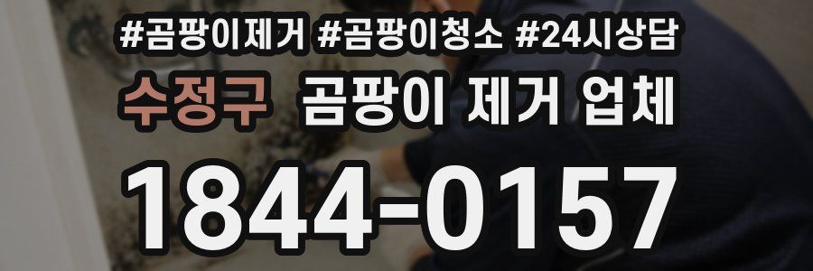 수정구 곰팡이 제거 업체