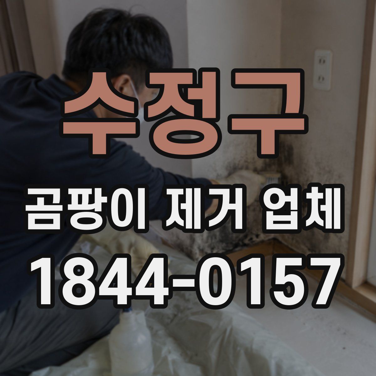 수정구 곰팡이 제거 업체