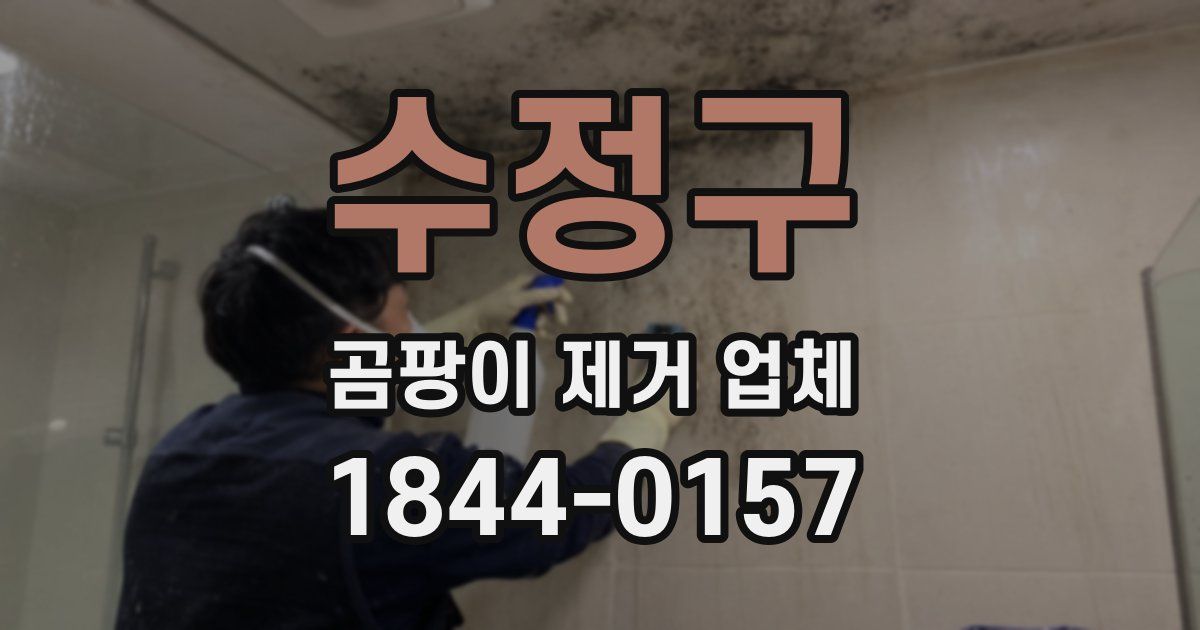 수정구 곰팡이 제거 업체