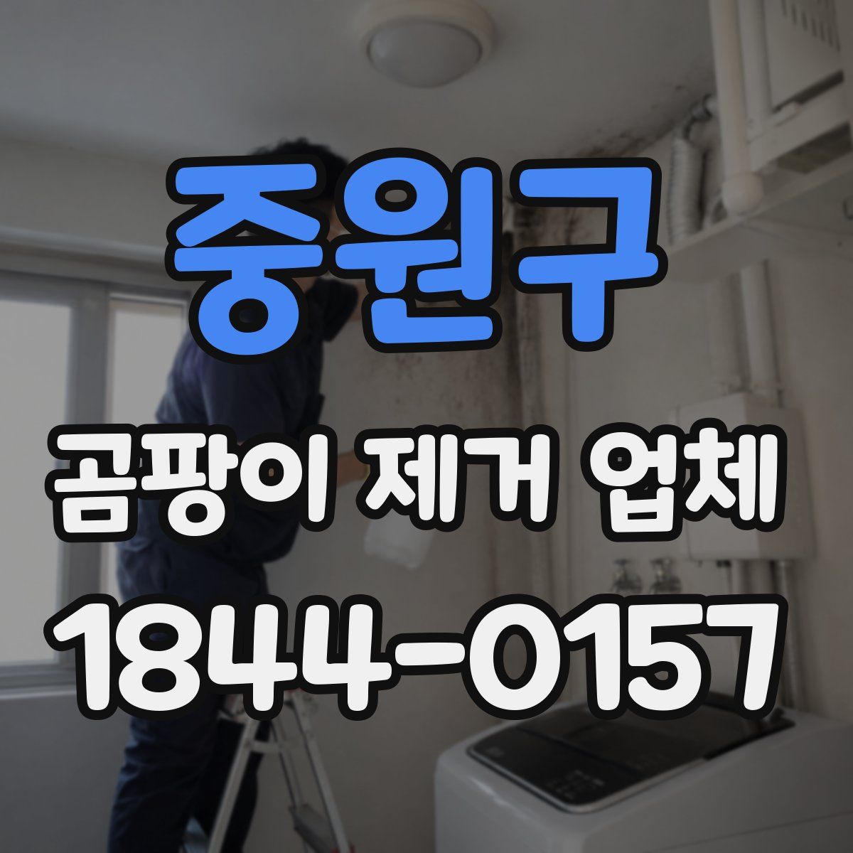 중원구 곰팡이 제거 업체