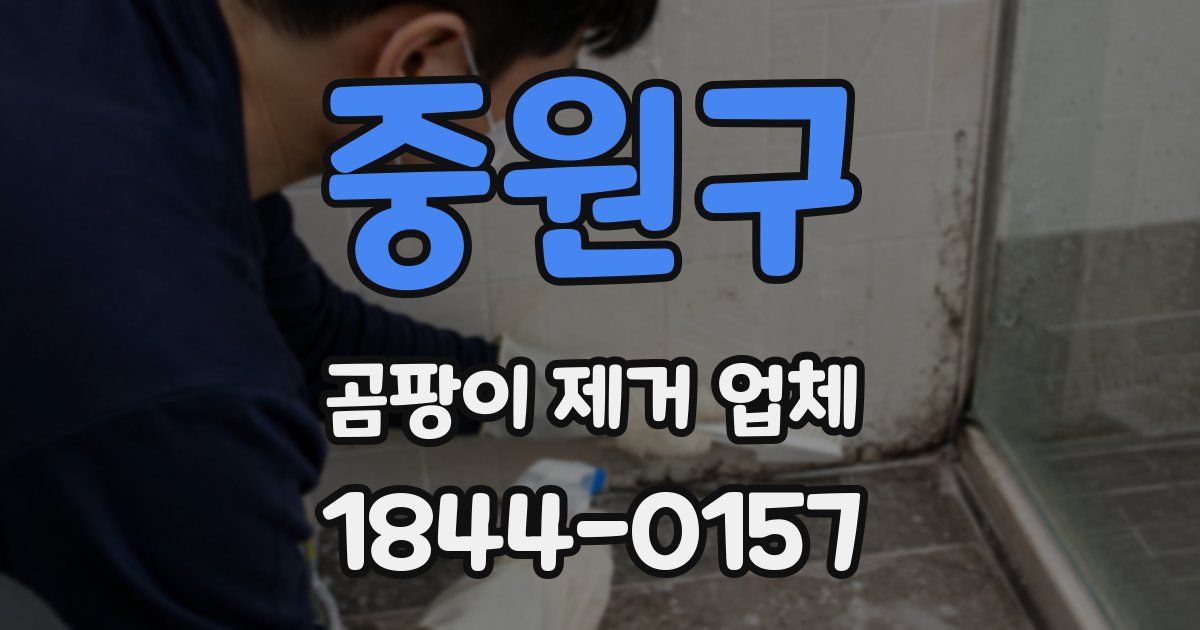 중원구 곰팡이 제거 업체