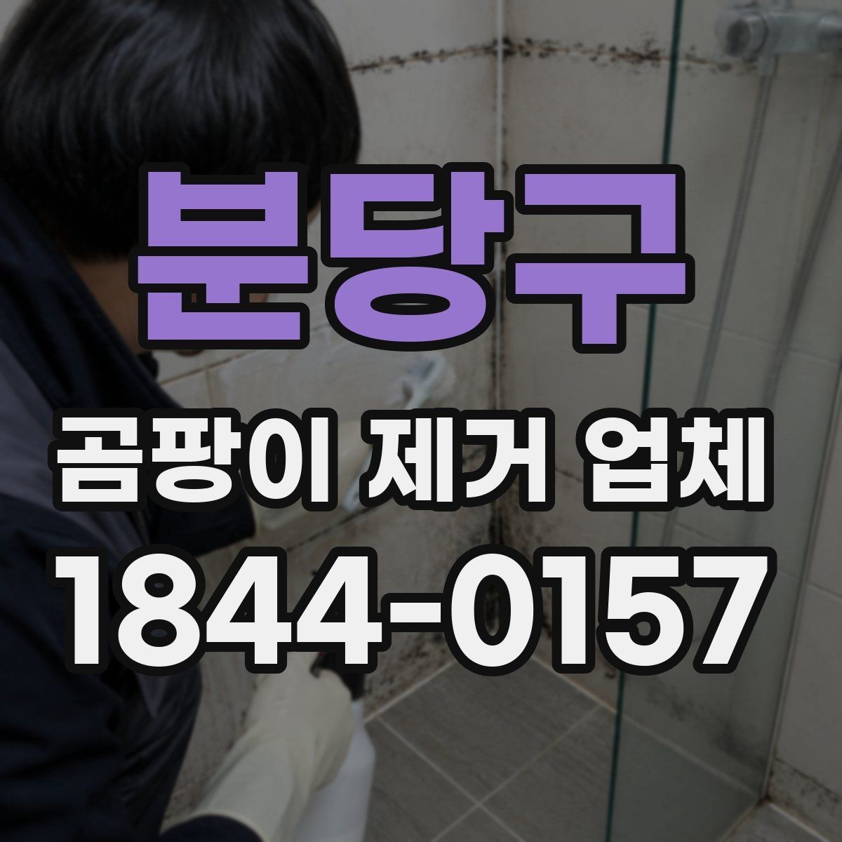 분당구 곰팡이 제거 업체 작업 전 사진진단으로 현장 상태 확인하는 법