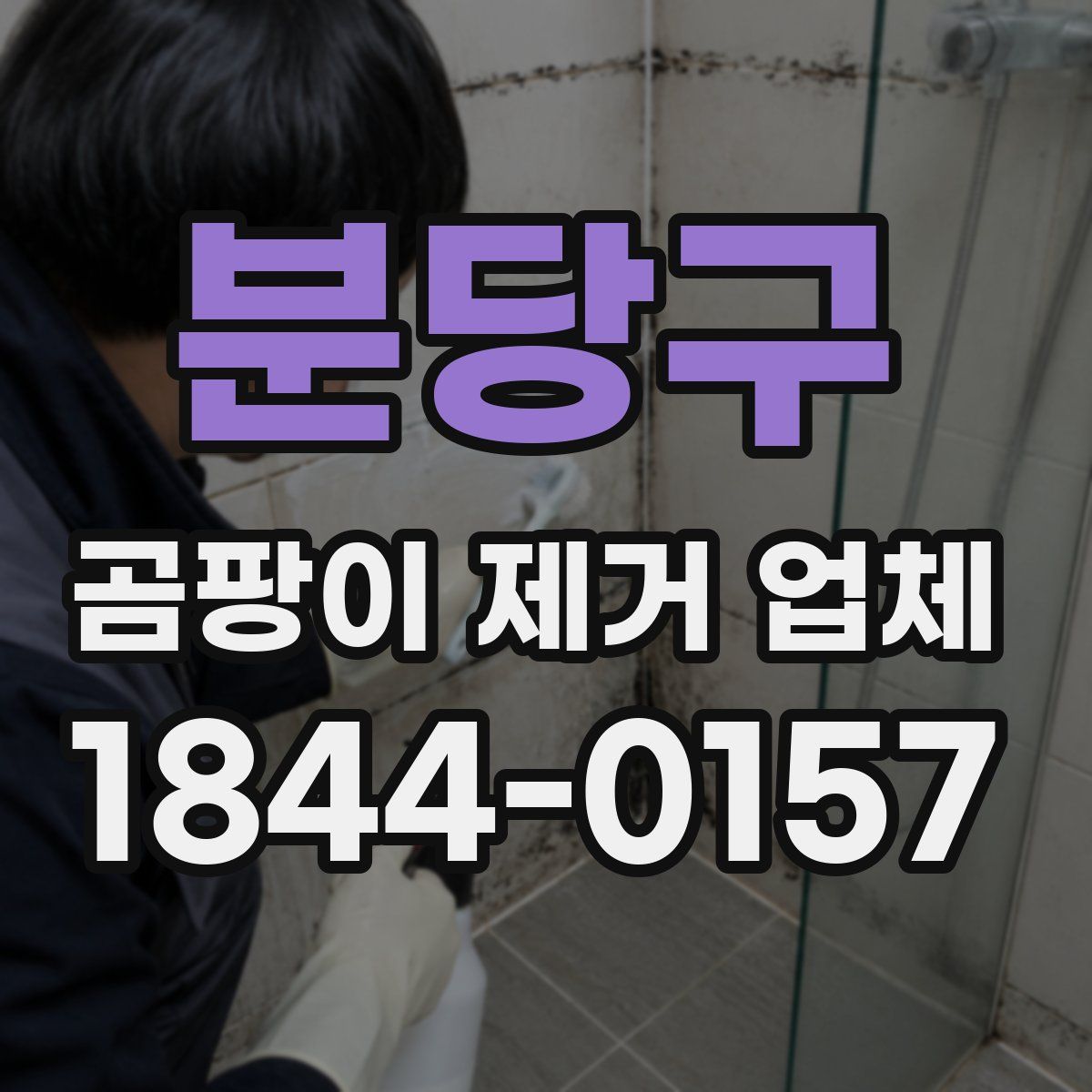 분당구 곰팡이 제거 업체