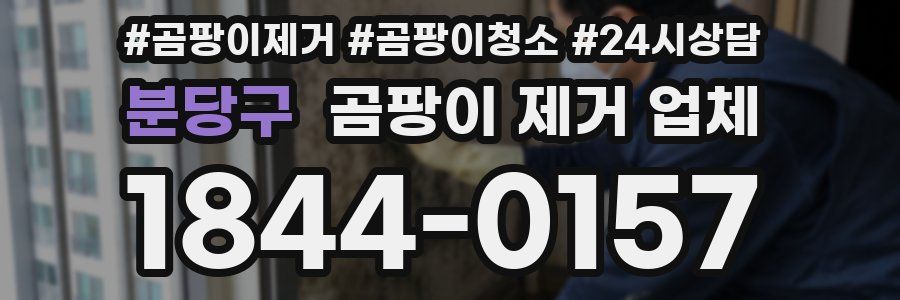분당구 곰팡이 제거 업체