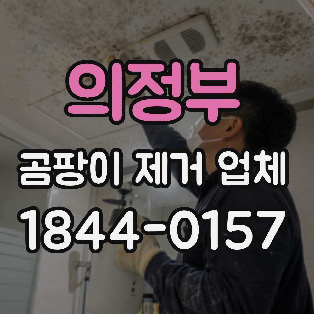 의정부 곰팡이 제거 업체