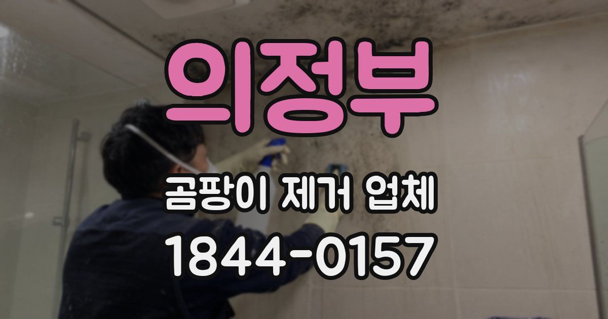 의정부 곰팡이 제거 업체