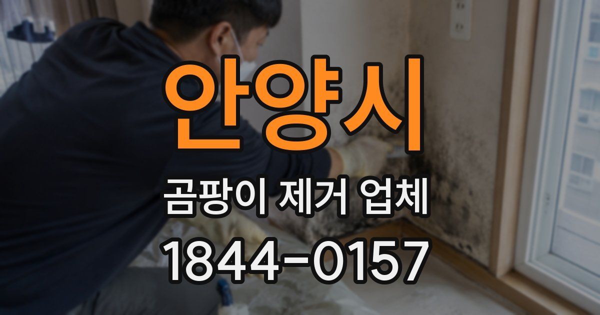 안양시 곰팡이 제거 업체
