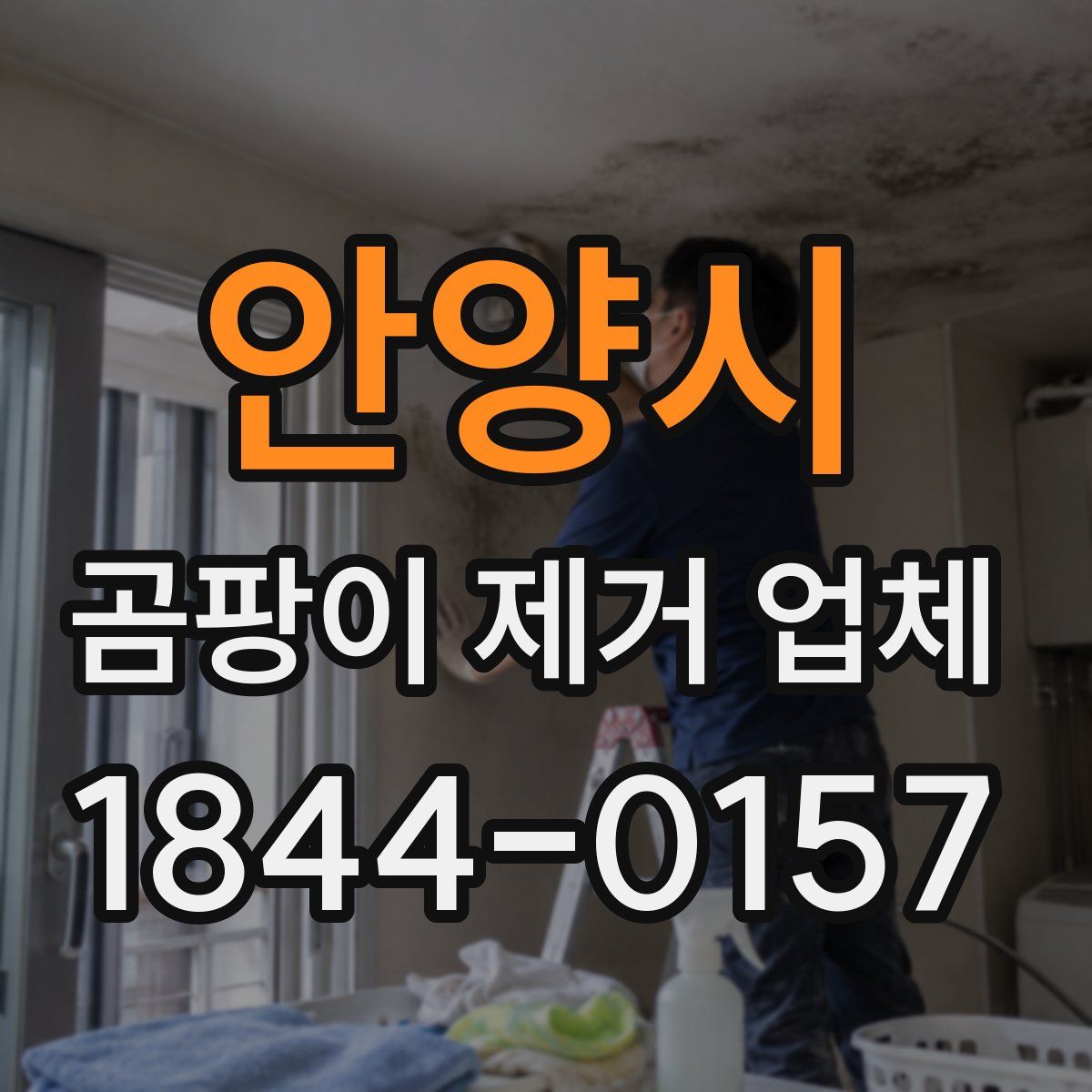 안양시 곰팡이 제거 업체