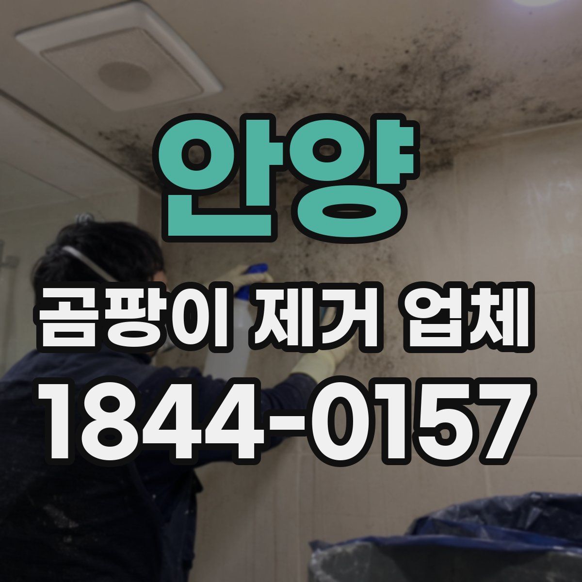 안양 곰팡이 제거 업체