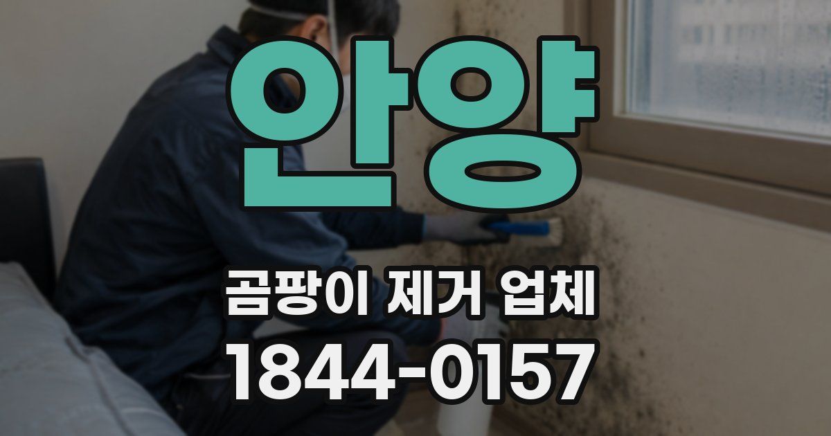 안양 곰팡이 제거 업체