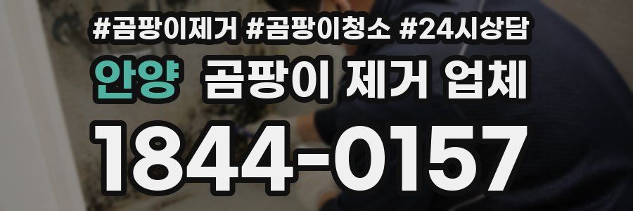 안양 곰팡이 제거 업체