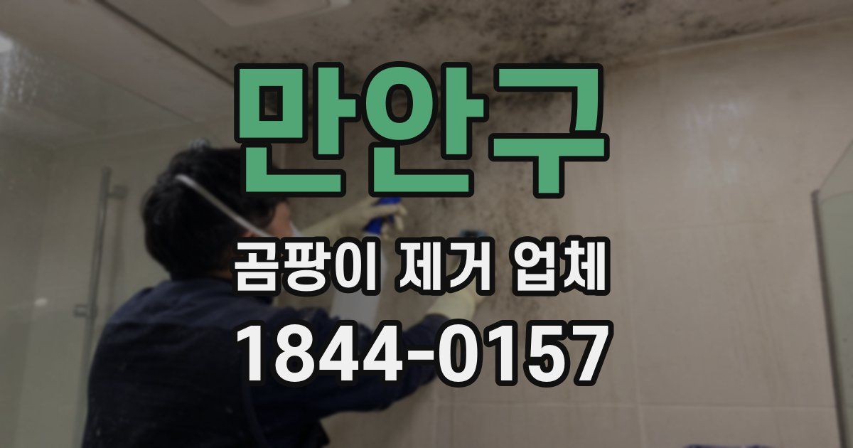 만안구 곰팡이 제거 업체