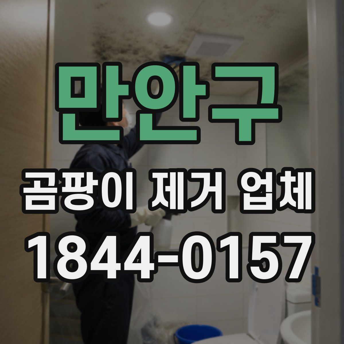 만안구 곰팡이 제거 업체