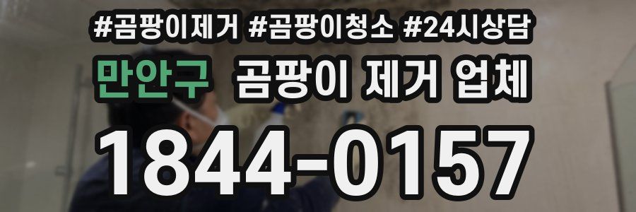 만안구 곰팡이 제거 업체