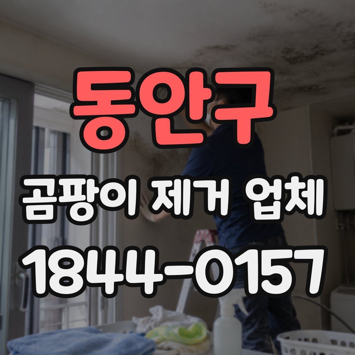 동안구 곰팡이 제거 업체 신축 하자 의심 구간을 먼저 살펴보는 순서