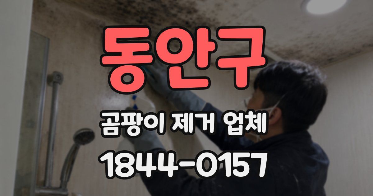 동안구 곰팡이 제거 업체
